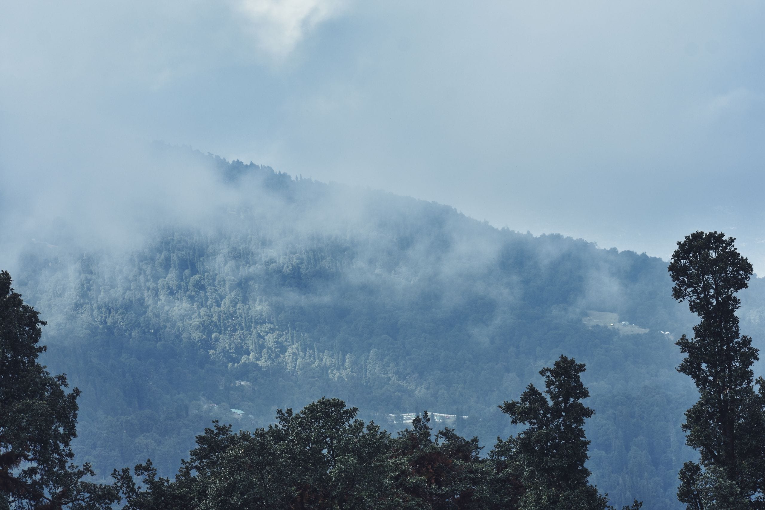 Serene misty view of forested mountains in Manali, Himachal Pradesh, I