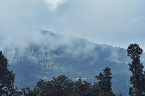 Serene misty view of forested mountains in Manali, Himachal Pradesh, I