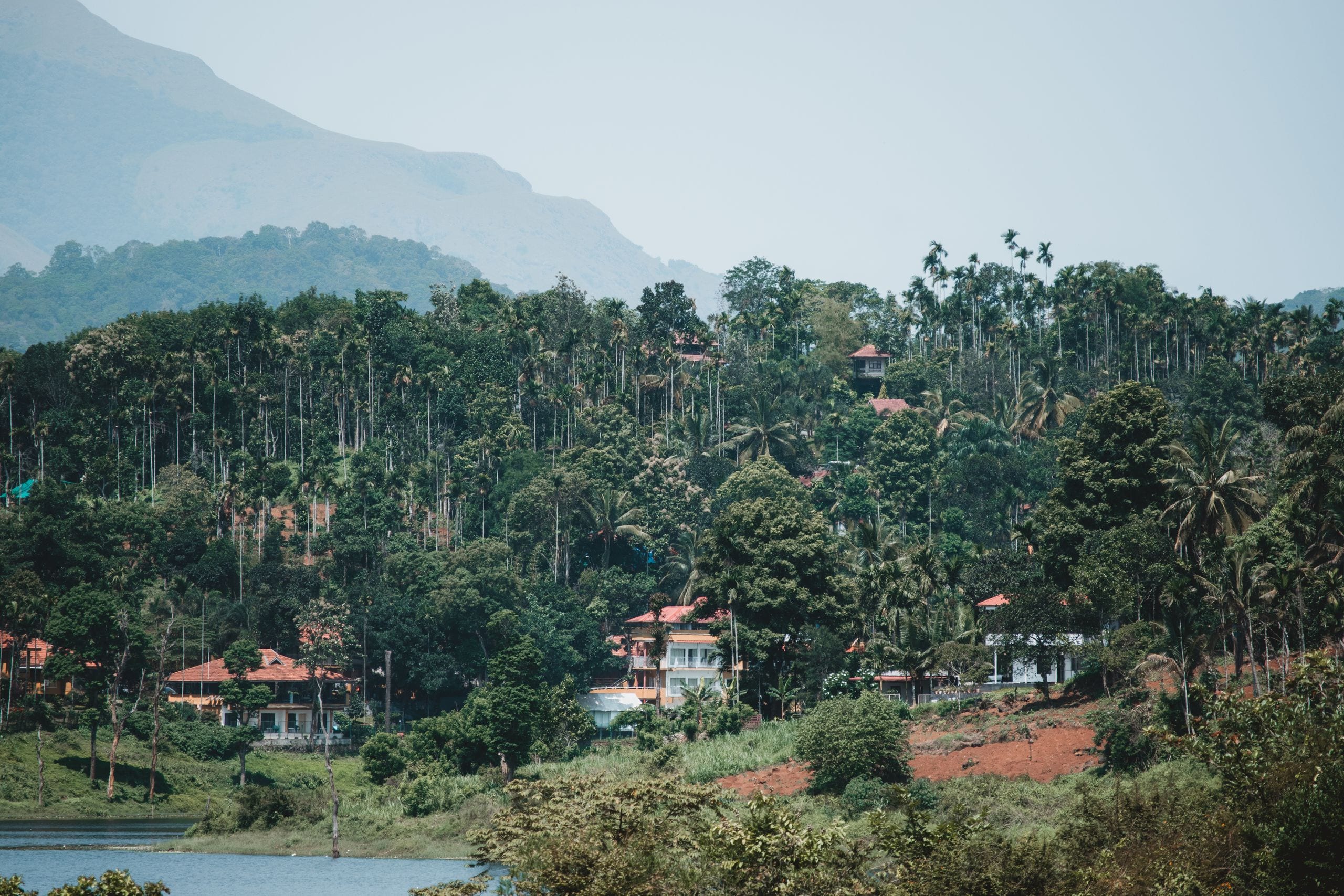 Scenic view of a lush hillside village surrounded by trees and mountai