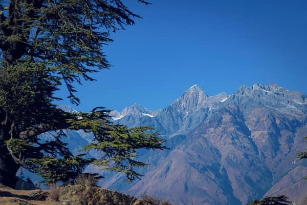 Breathtaking view of the Himalayan mountains with a foreground of ever