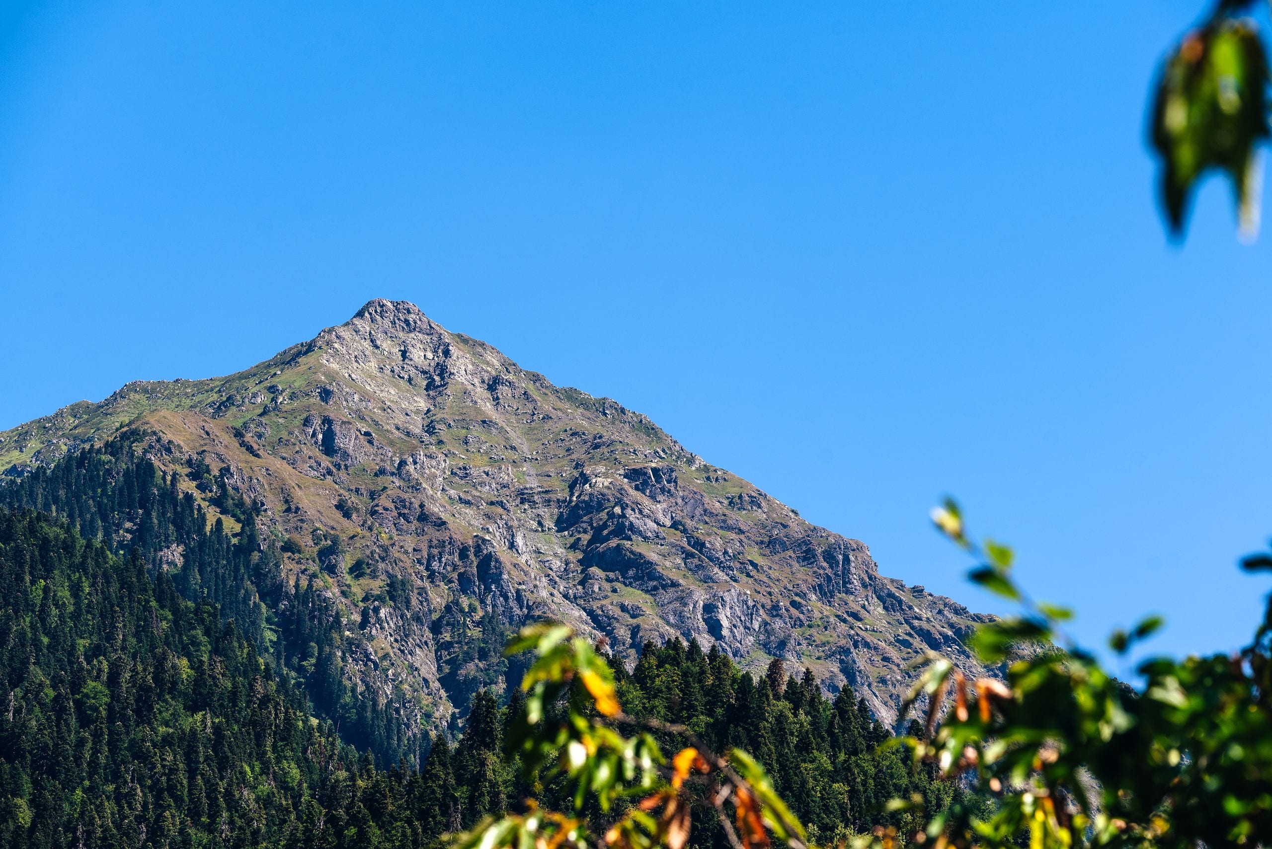 Beautiful mountain view in Гагра with clear blue sky and lush green fo