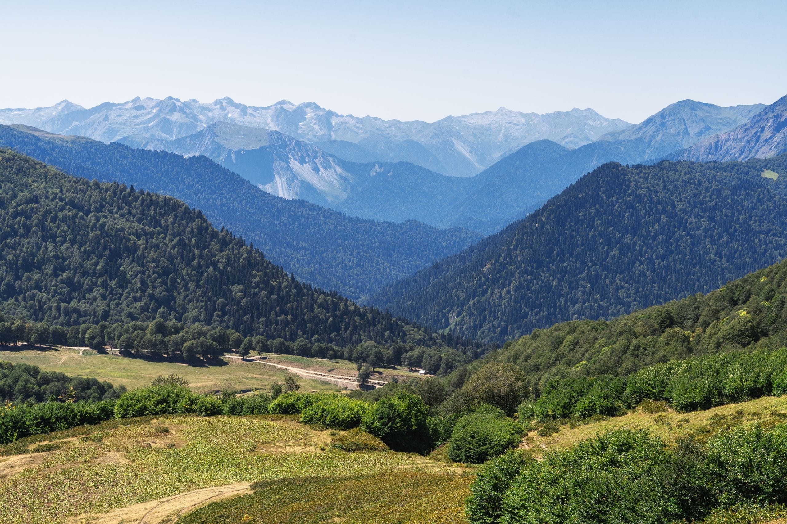 Breathtaking view of lush forests and distant mountains in Gagra.