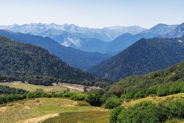Breathtaking view of lush forests and distant mountains in Gagra.