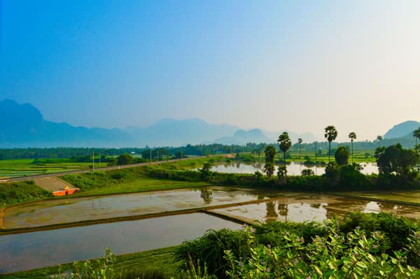 Breathtaking view of lush green rice fields and distant mountains unde