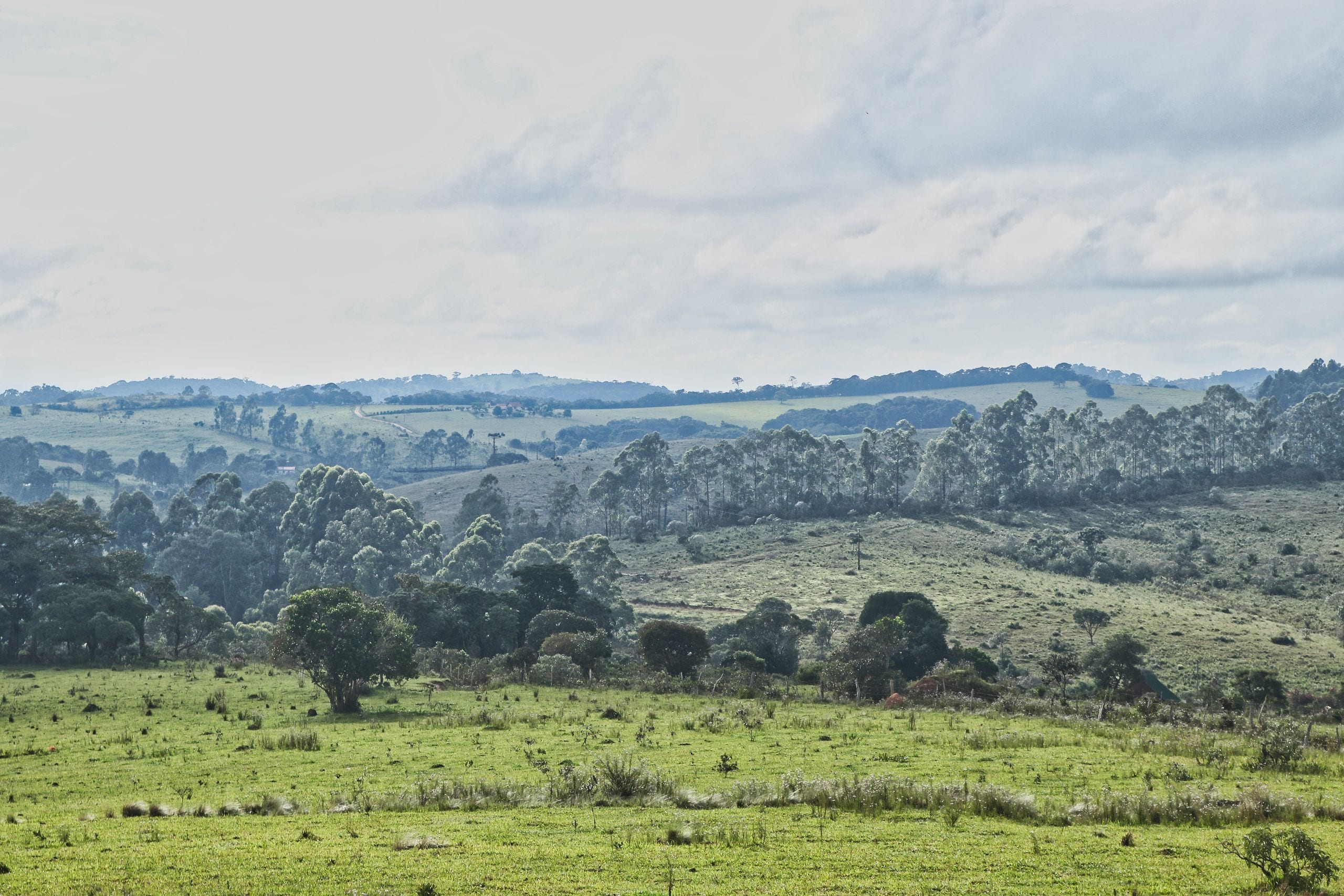 Scenic view of lush green fields and rolling hills under a cloudy sky,