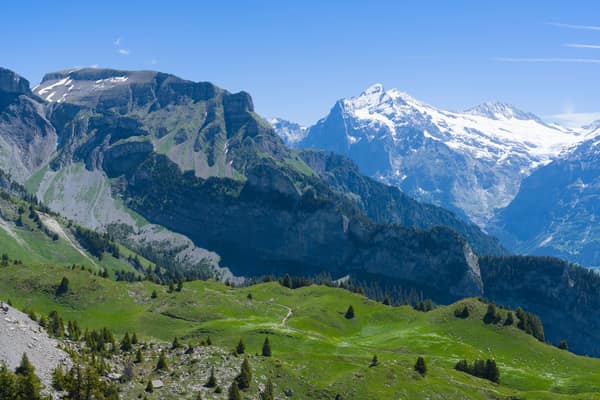Breathtaking summer landscape of the Swiss Alps with green meadows and