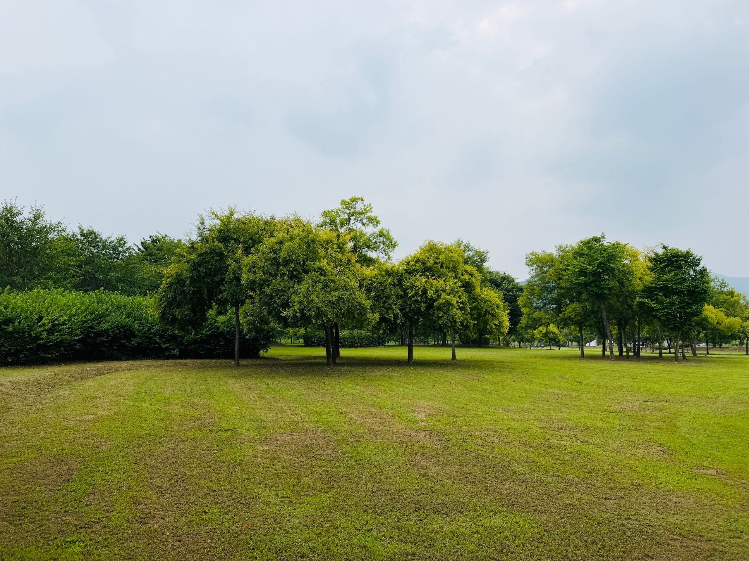 A tranquil park scene featuring lush green grass and trees under a clo
