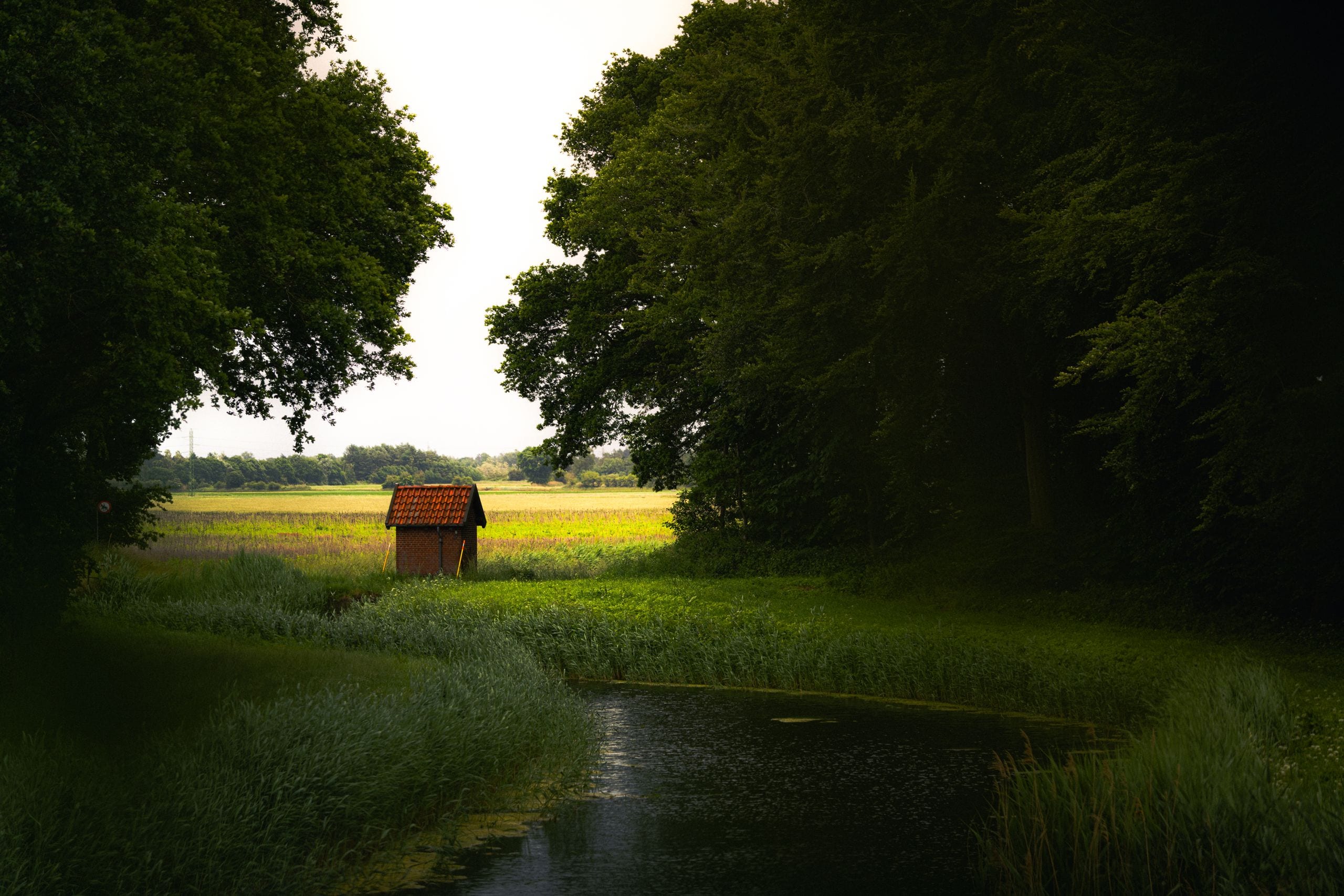 A quaint cottage by a serene river and lush trees in Denmark.