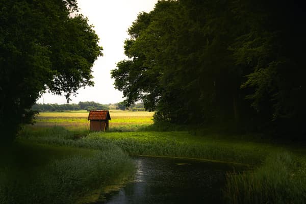 A quaint cottage by a serene river and lush trees in Denmark.