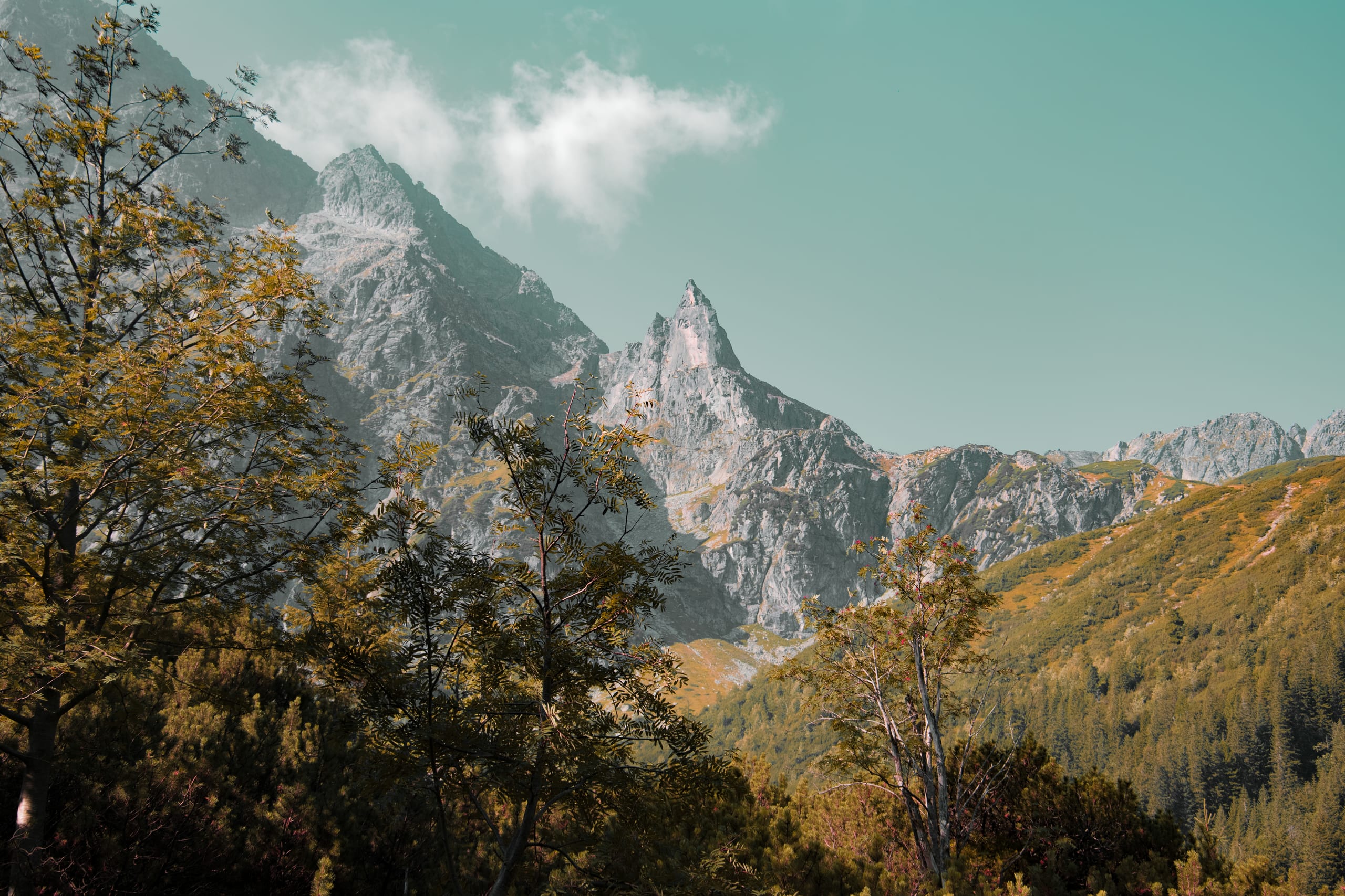 Explore the serene mountain landscape of Zakopane, Poland under a clea