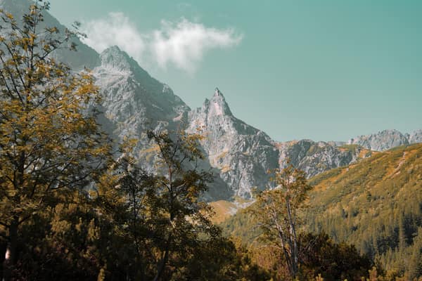 Explore the serene mountain landscape of Zakopane, Poland under a clea