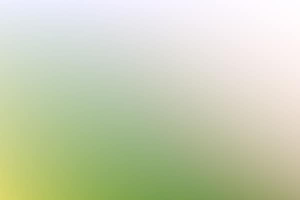 Bright soft colorful abstract background with clear green and white wi